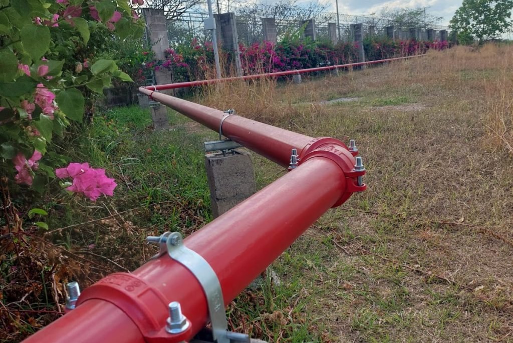 WhatsApp Image 2026-02-27 at 12.36.23 (1)