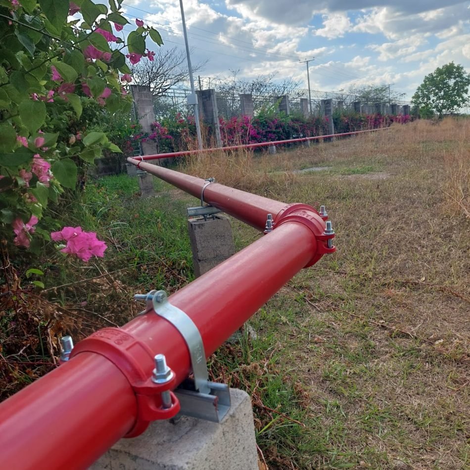 WhatsApp Image 2026-02-27 at 12.36.23 (1)